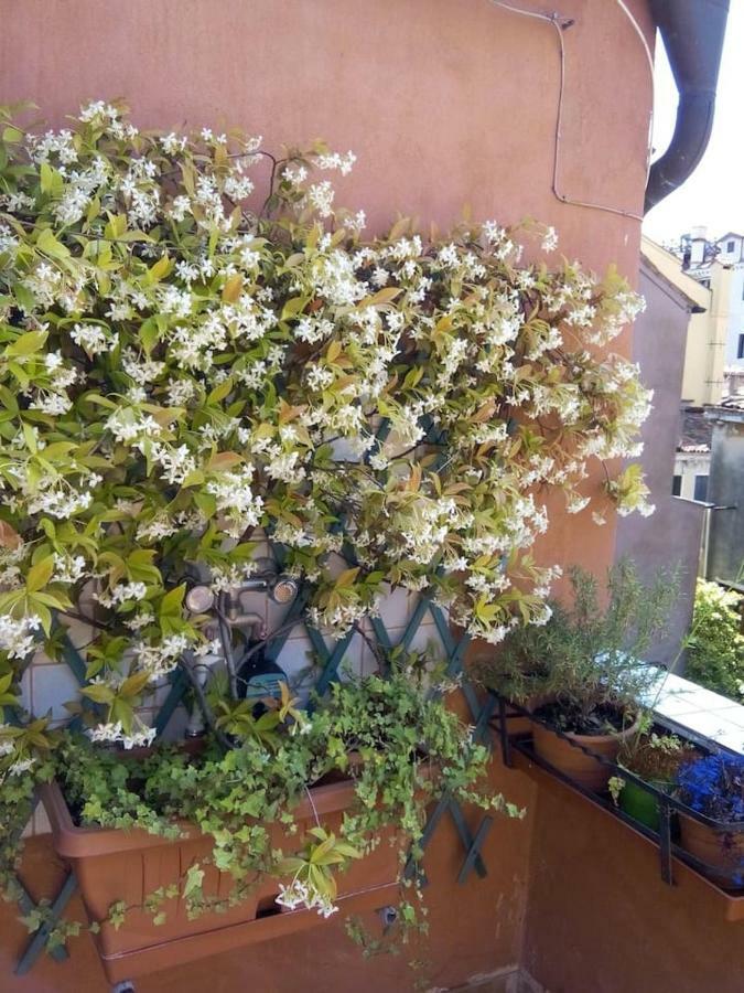 Ca' San Silvestro 2 Terrazze Nel Cuore Di Venezia Dış mekan fotoğraf